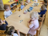 ptice_pozimi_035